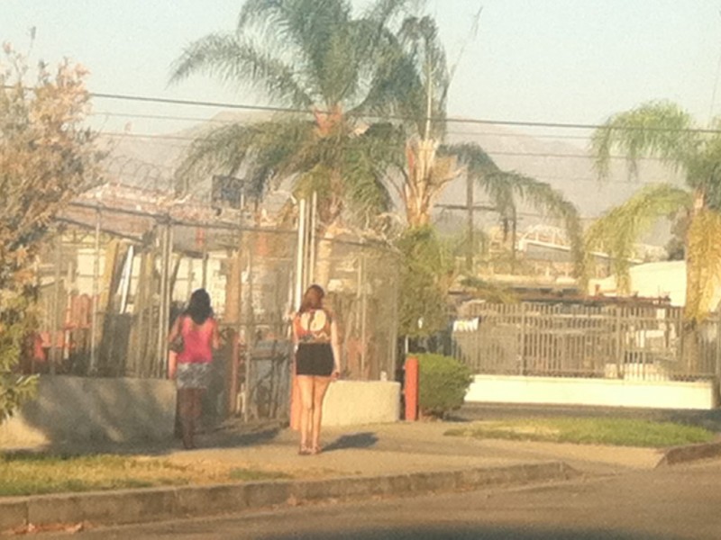 Prostitutes San Fernando